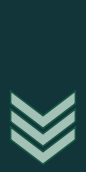 Файл:86px-IDF Ranks Ranam.svg.png